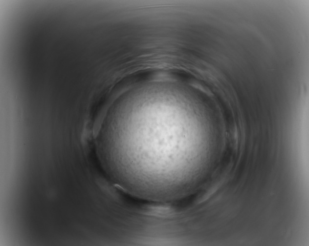 X0000088900284200706151853
