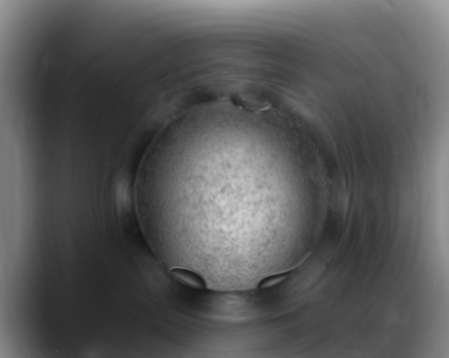 X0000088900287200706151853