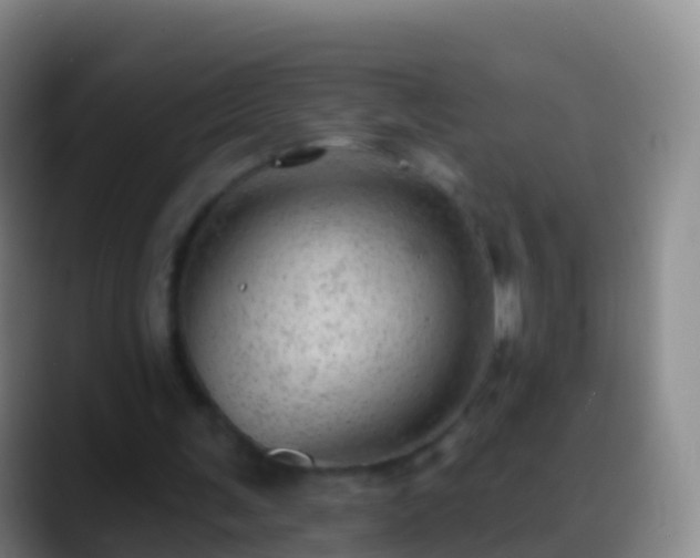 X0000088900291200706151853