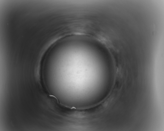 X0000088900292200706151853