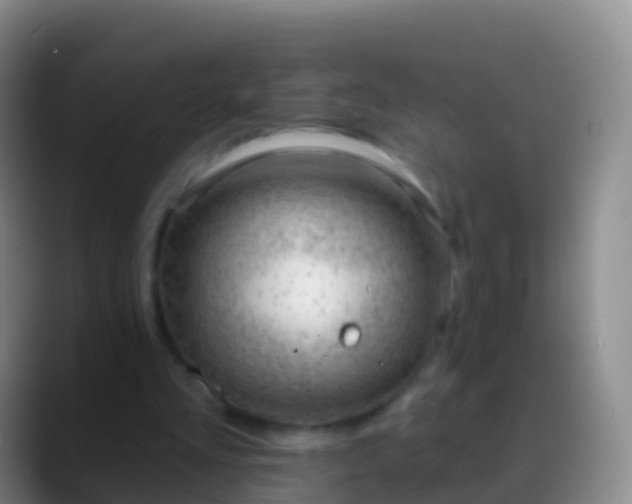 X0000088900293200706151853