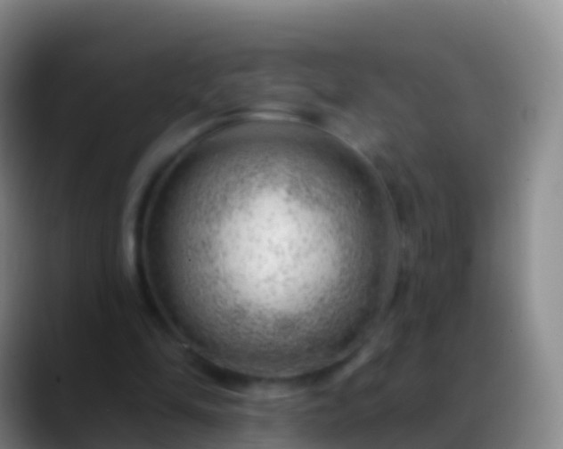 X0000088900294200706151853