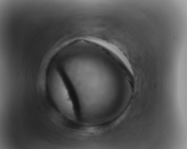 X0000088900295200706151853