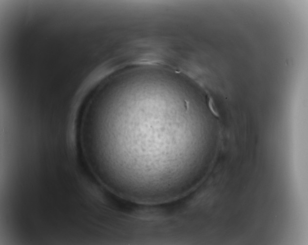 X0000088900296200706151853