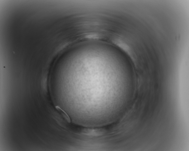 X0000088900297200706151853