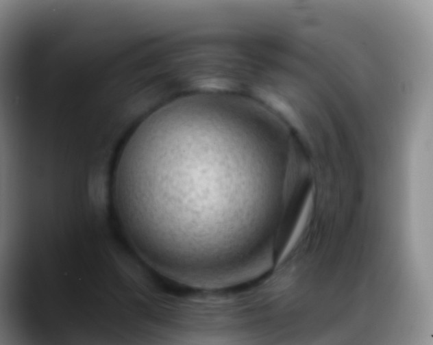 X0000088900299200706151853