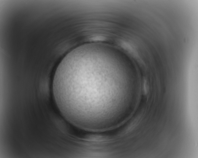 X0000088900300200706151853