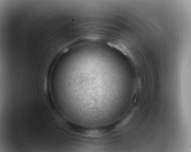 X0000088900301200706151853