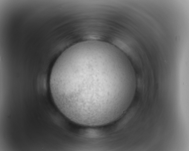 X0000088900302200706151853