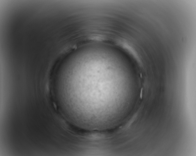 X0000088900305200706151853