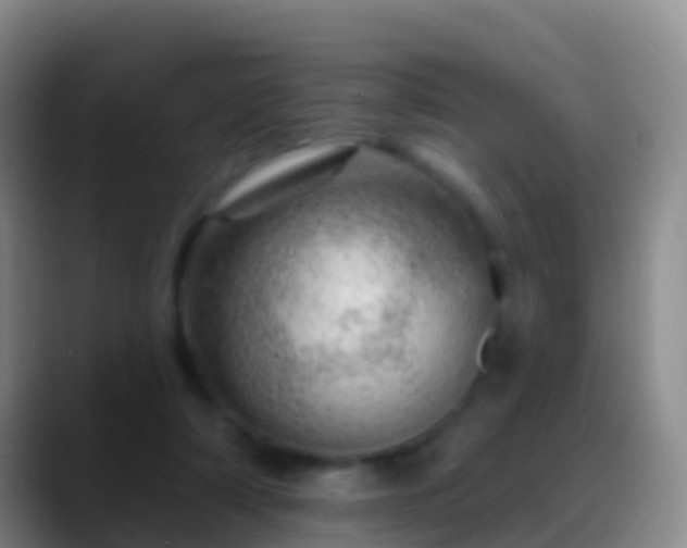 X0000088900306200706151853