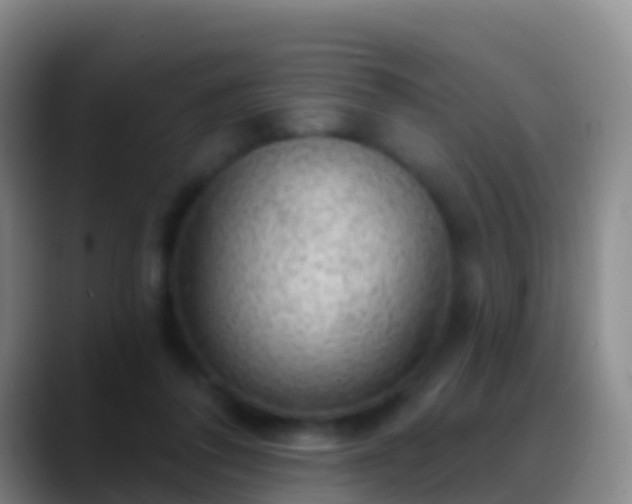 X0000088900308200706151853