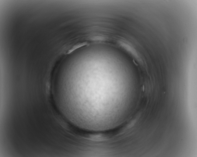 X0000088900309200706151853