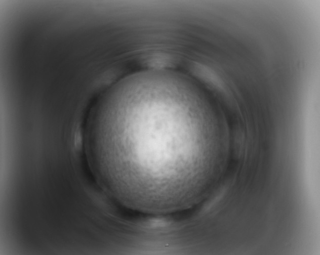 X0000088900310200706151853