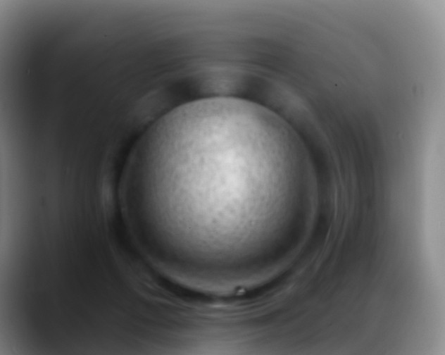 X0000088900312200706151853