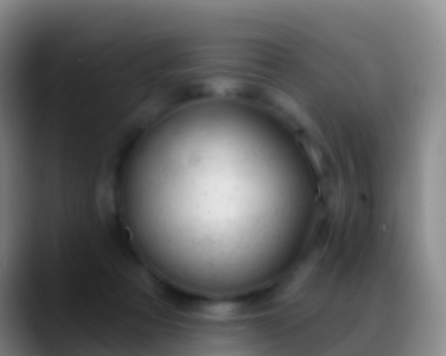 X0000088900313200706151853