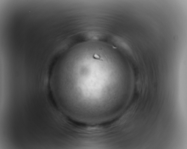X0000088900314200706151852
