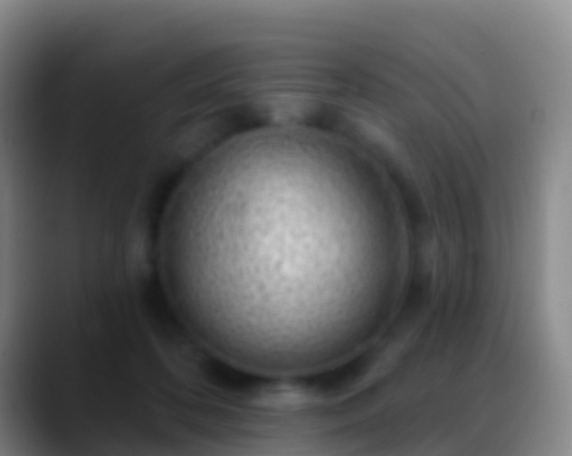 X0000088900316200706151852