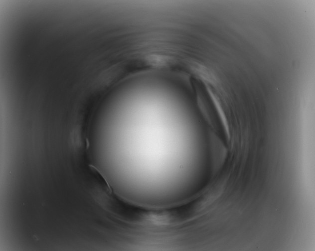 X0000088900317200706151852