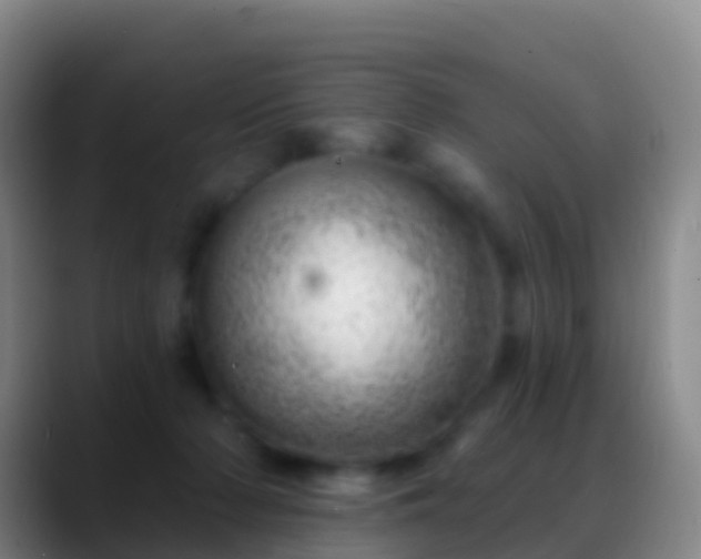 X0000088900318200706151852