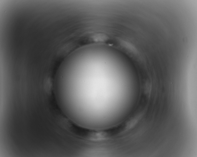 X0000088900321200706151852