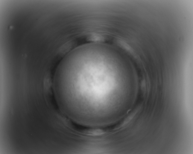 X0000088900322200706151852