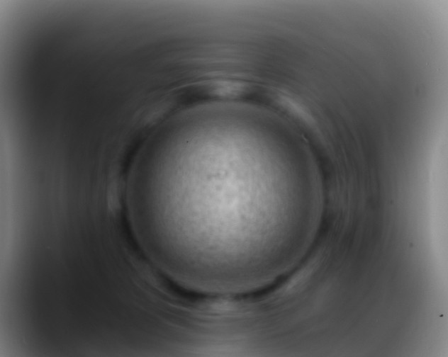 X0000088900325200706151852