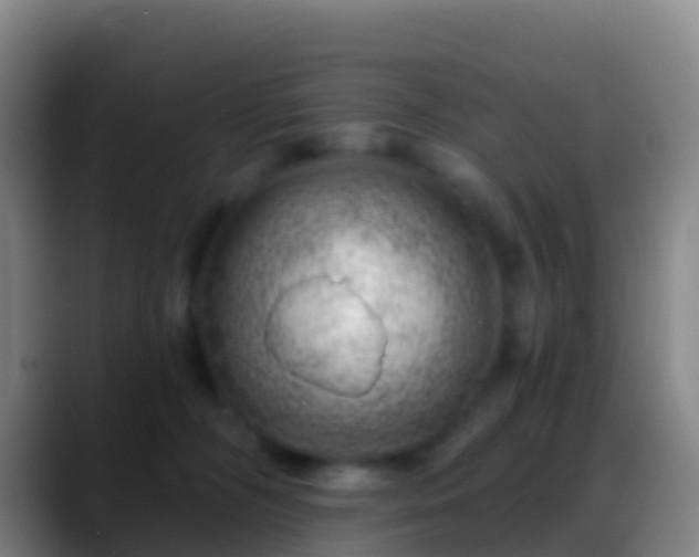 X0000088900326200706151852
