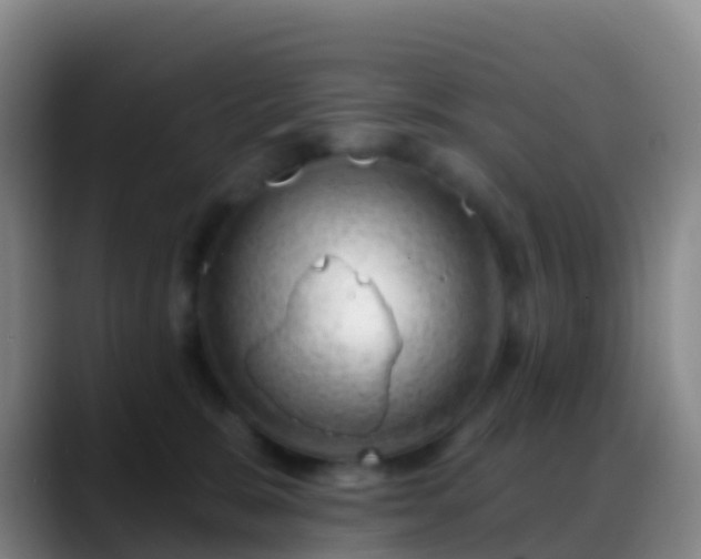 X0000088900327200706151852