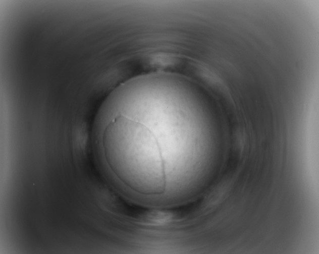 X0000088900328200706151852