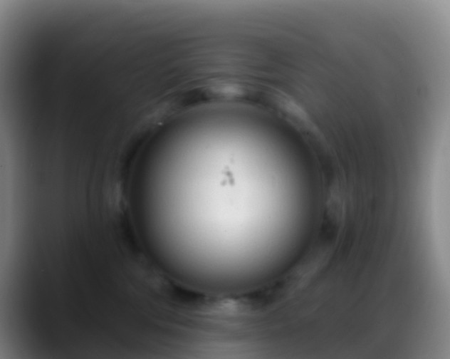 X0000088900330200706151852
