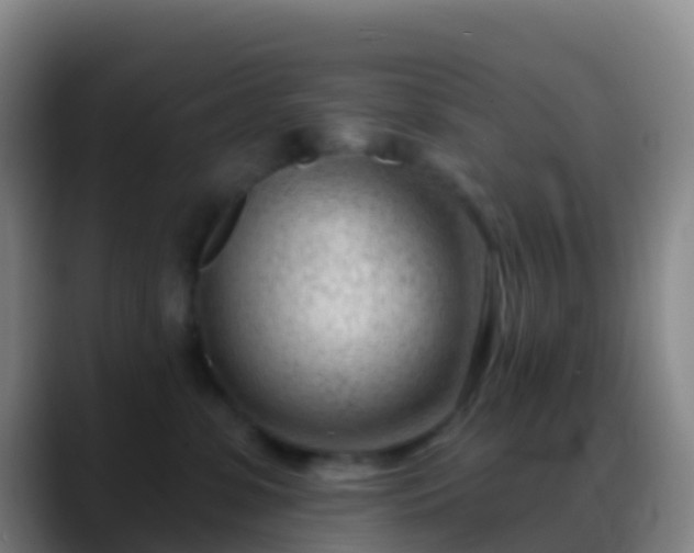 X0000088900331200706151852
