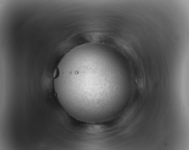 X0000088900332200706151852
