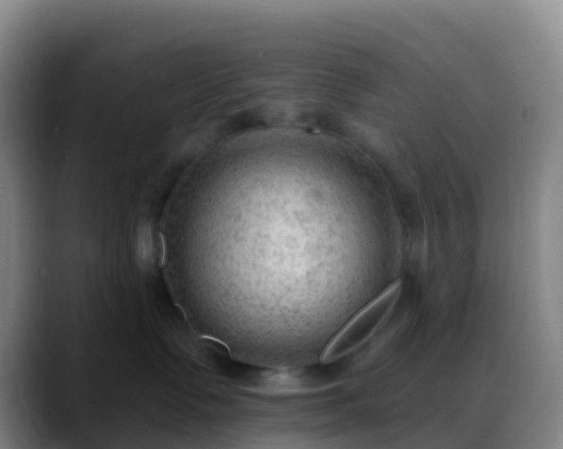 X0000088900335200706151852