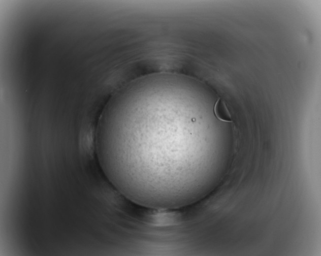 X0000088900336200706151852