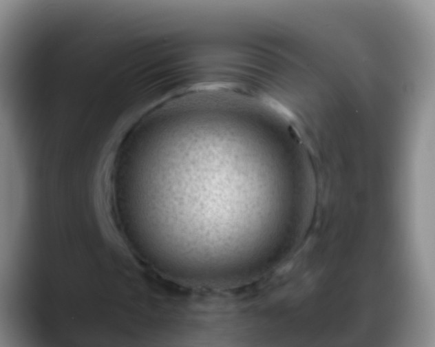 X0000088900337200706151852