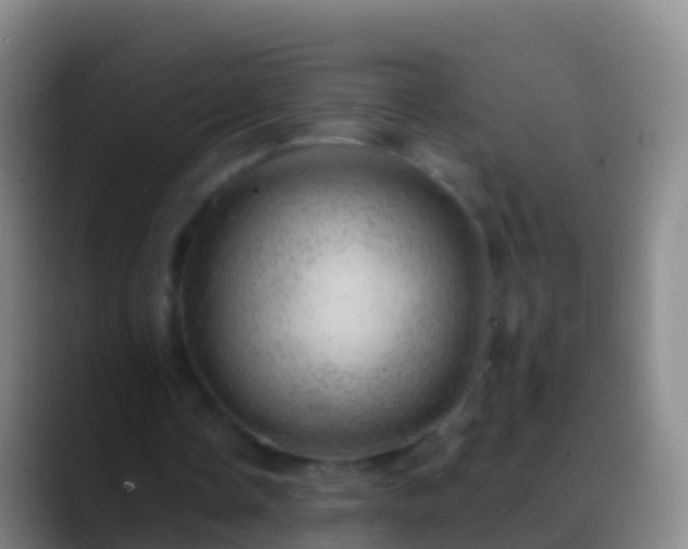 X0000088900338200706151852