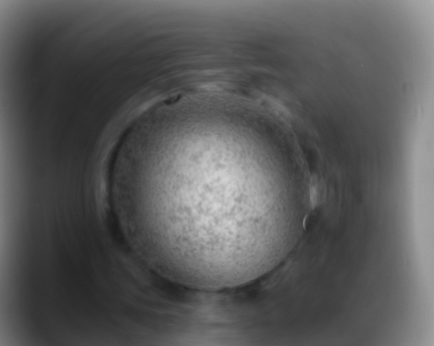 X0000088900339200706151852