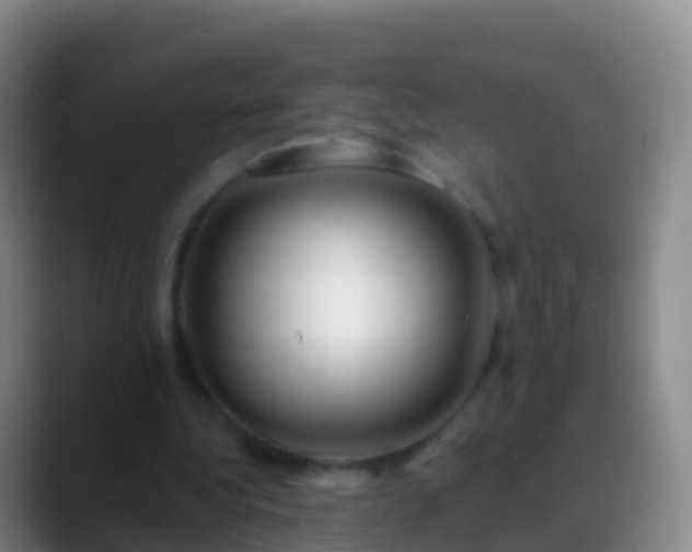X0000088900340200706151852