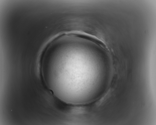 X0000088900342200706151852
