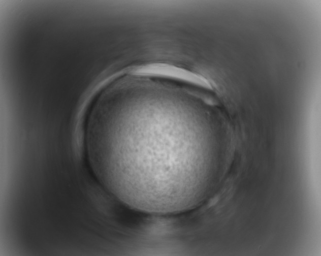 X0000088900343200706151852