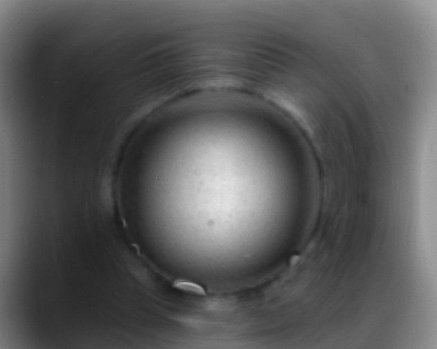 X0000088900345200706151852