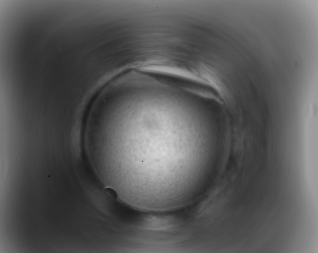 X0000088900346200706151852