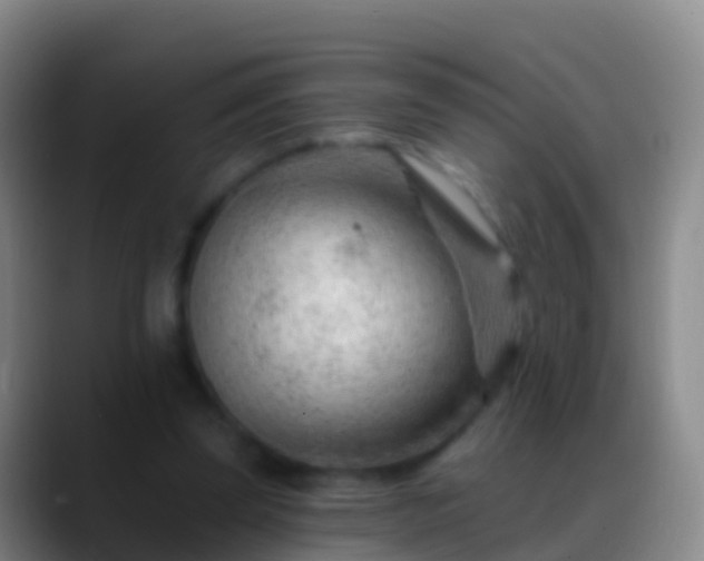 X0000088900347200706151852