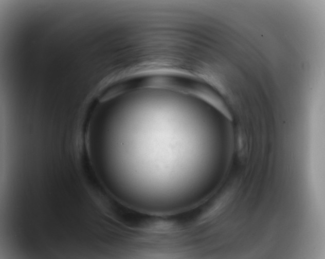 X0000088900348200706151852