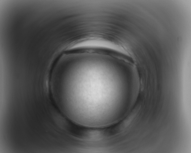 X0000088900349200706151852
