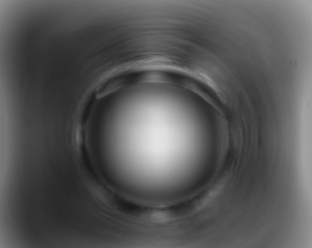 X0000088900350200706151852