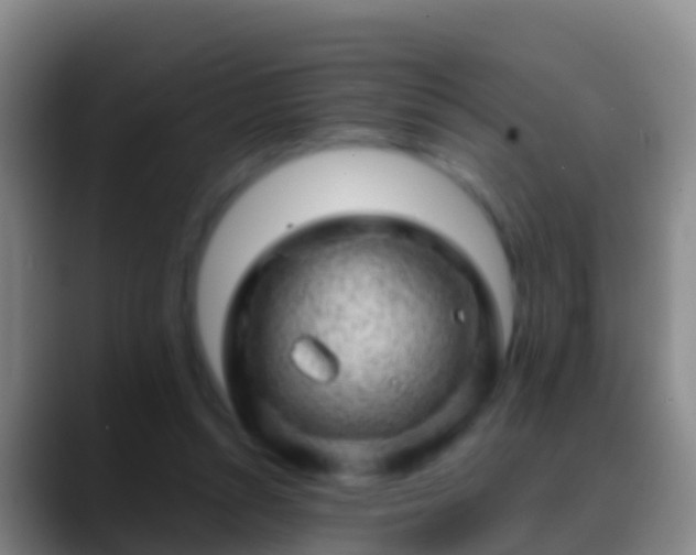 X0000088900352200706151852