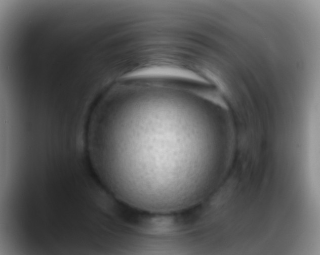 X0000088900353200706151852
