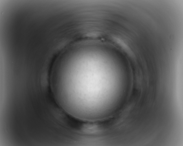X0000088900354200706151852